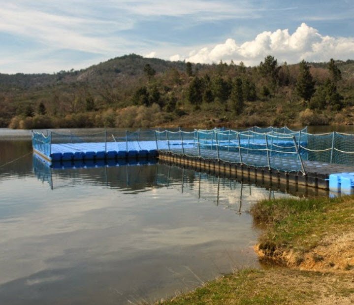 Barragem de Capinha, Portugal
